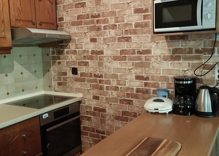 Apartament Michael House *